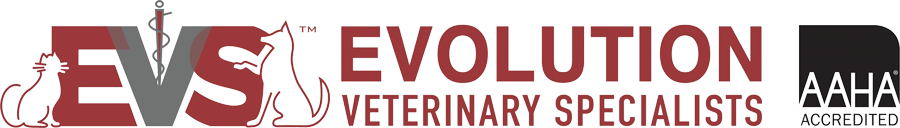 Evolution Veterinary Specialists homepage