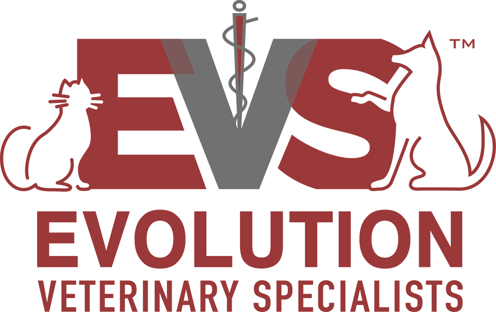 Evolution Veterinary Specialists | Emergency & Veterinary Specialty
