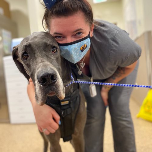 Team member Kortnee