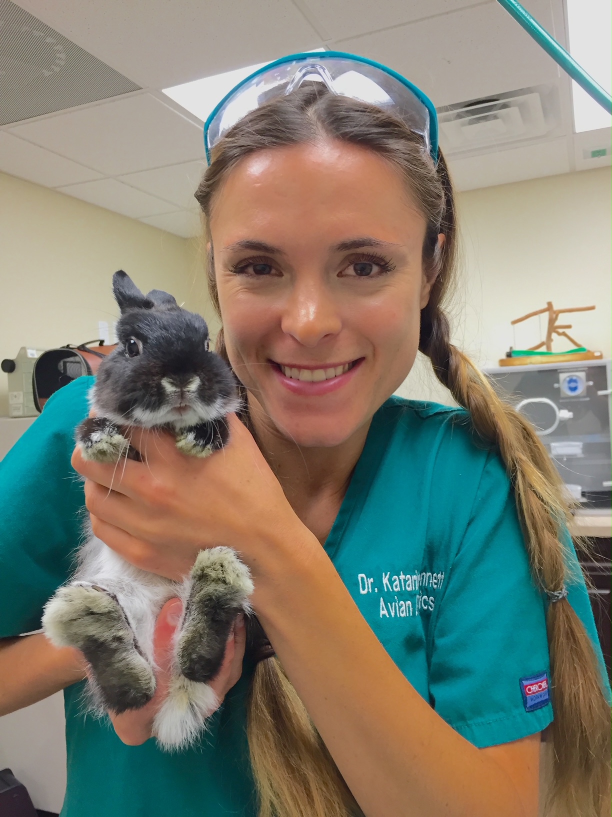 Exotic Care | Evolution Veterinary Specialists