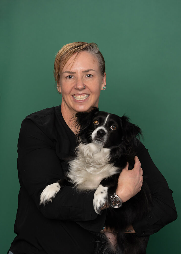 Pet Ophthalmology Denver CO Evolution Veterinary Specialists