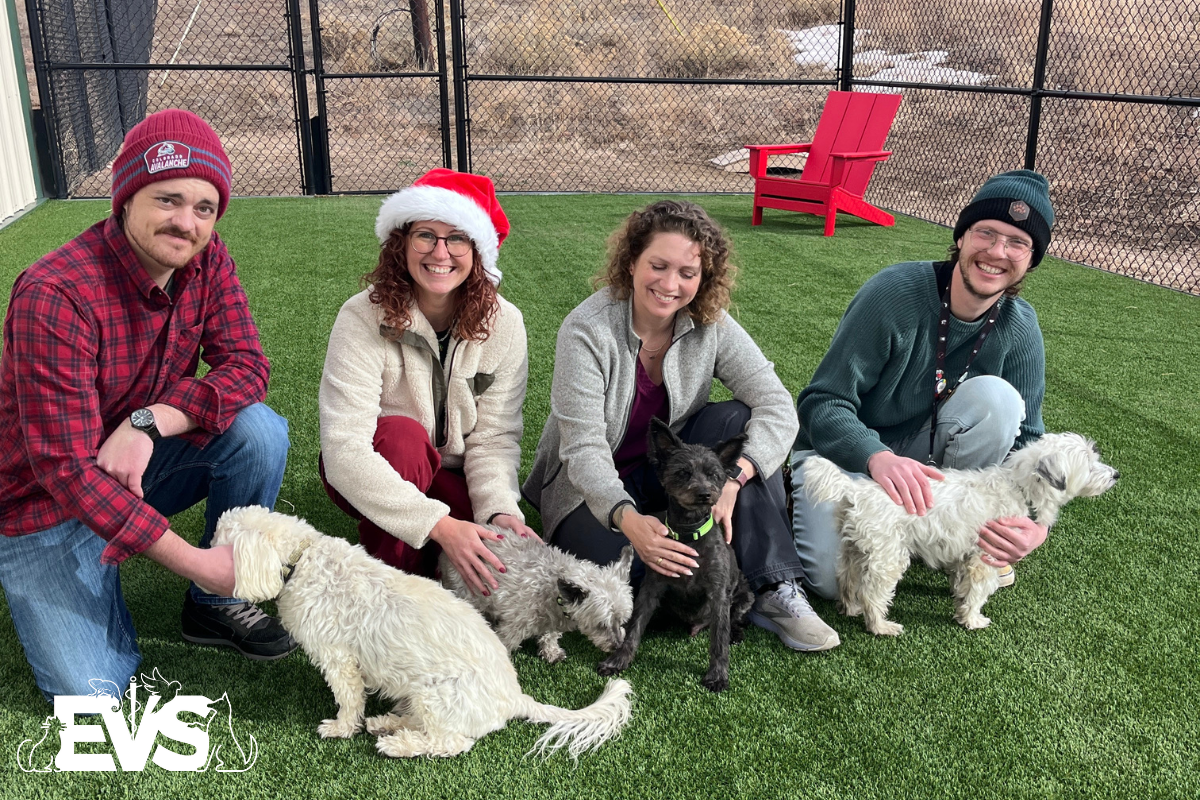 Tails of Joy: A Season of Giving for Pepper’s Senior Dog Sanctuary