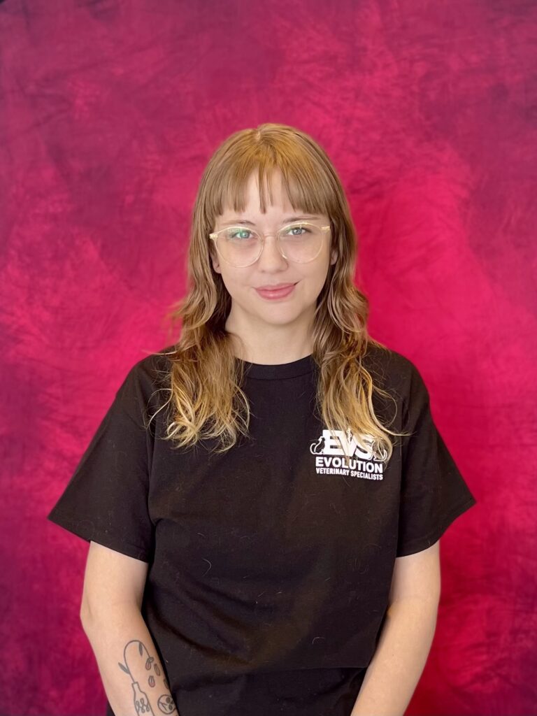 image_03883FB3-23E8-4CB9-ACD6-A8241C38EDBC_1767994606