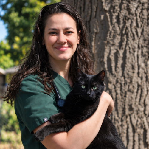 Team member Dr. Sarah Stroope