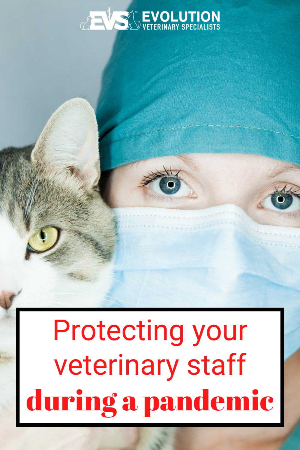 Protecting Your Veterinary Staff During A Pandemic | Evolution ...