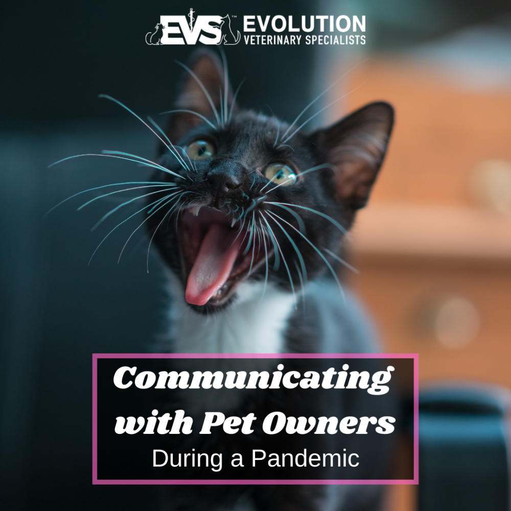 Communicating with pet owners during a pandemic Communicating with pet owners during a pandemic