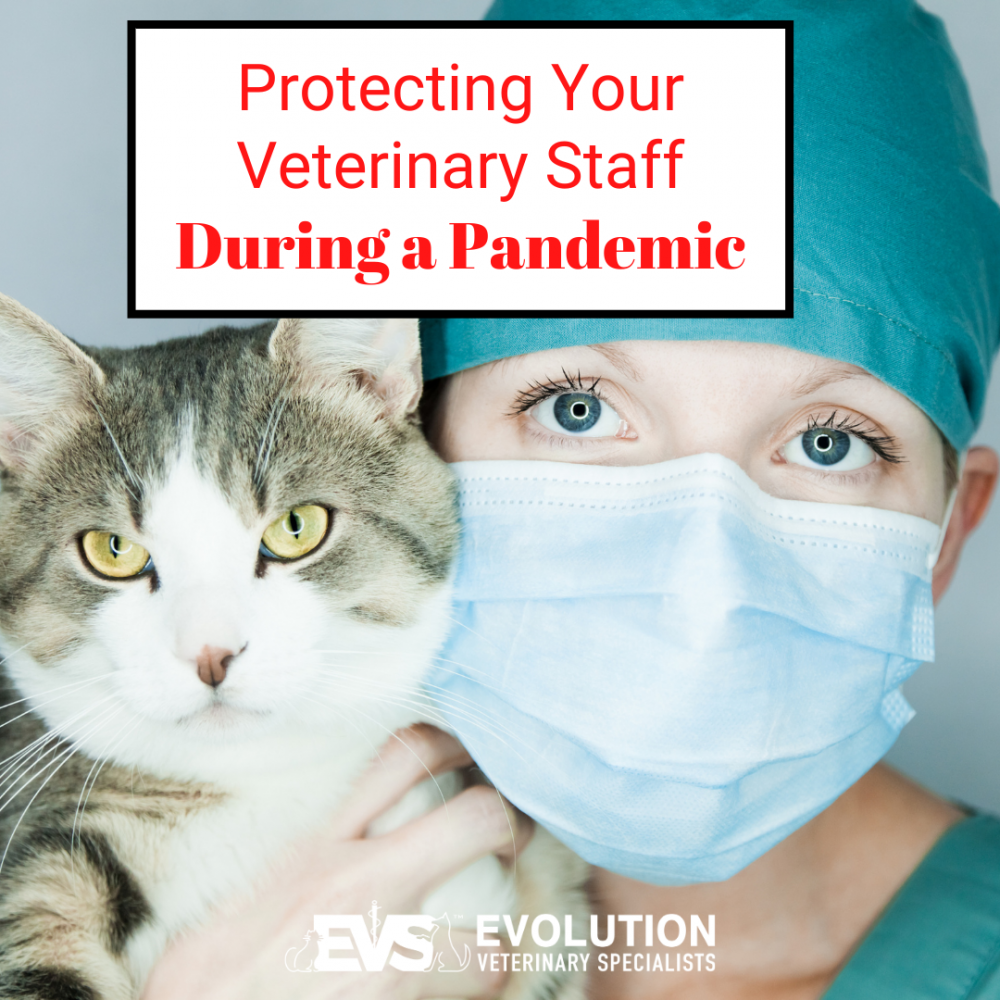 Protecting your veterinary staff during a pandemic Protecting your veterinary staff during a pandemic
